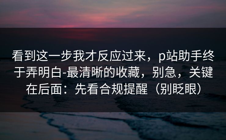看到这一步我才反应过来，p站助手终于弄明白-最清晰的收藏，别急，关键在后面：先看合规提醒（别眨眼）