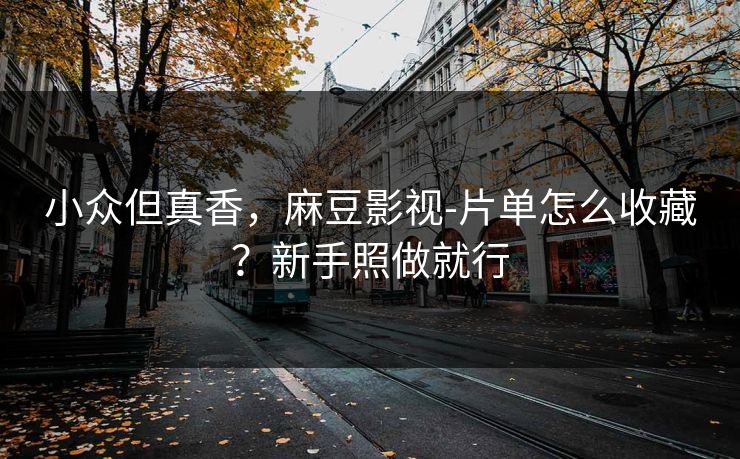 小众但真香，麻豆影视-片单怎么收藏？新手照做就行