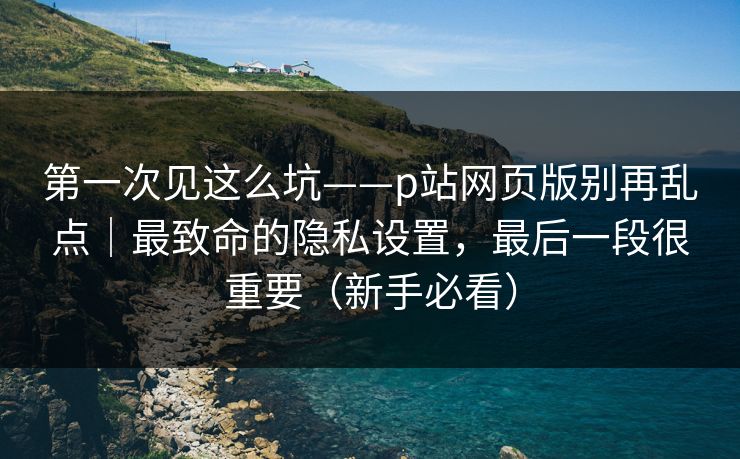 第一次见这么坑——p站网页版别再乱点｜最致命的隐私设置，最后一段很重要（新手必看）