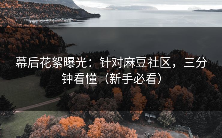幕后花絮曝光：针对麻豆社区，三分钟看懂（新手必看）