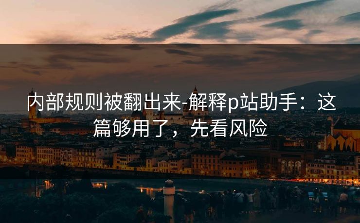 内部规则被翻出来-解释p站助手：这篇够用了，先看风险