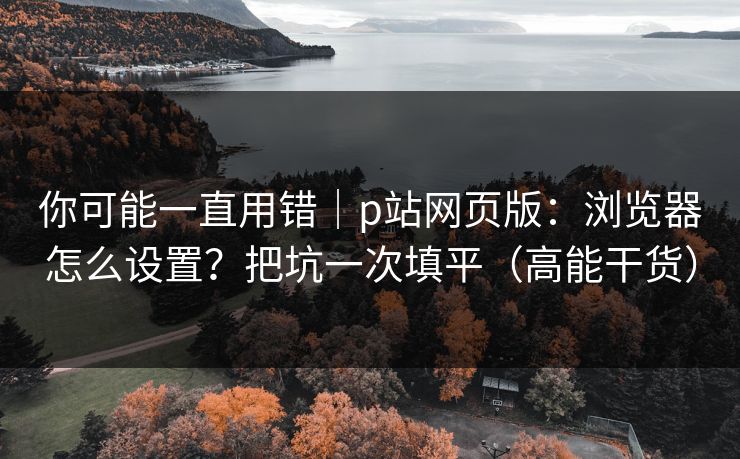 你可能一直用错|p站网页版:浏览器怎么设置?把坑一次填平(高能干货) 你可能一直用错|p站网页版:浏览器怎么设置?把坑一次填平(高能干货)