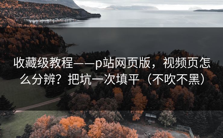 收藏级教程——p站网页版，视频页怎么分辨？把坑一次填平（不吹不黑）