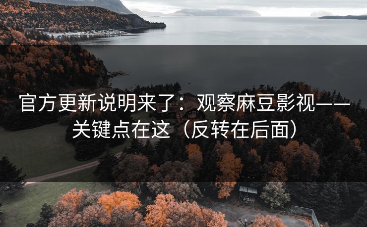 官方更新说明来了：观察麻豆影视——关键点在这（反转在后面）