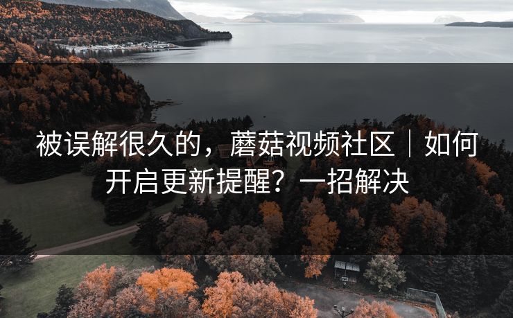 被误解很久的,蘑菇视频社区|如何开启更新提醒?一招解决 被误解很久的,蘑菇视频社区|如何开启更新提醒?一招解决