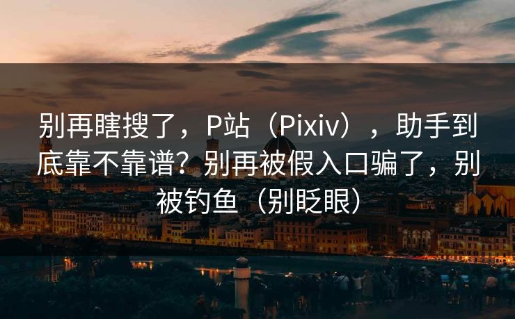 别再瞎搜了，P站（Pixiv），助手到底靠不靠谱？别再被假入口骗了，别被钓鱼（别眨眼）