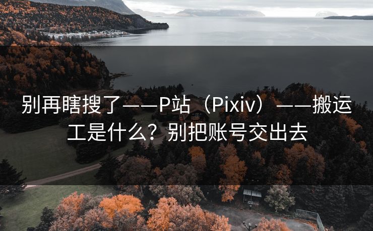 别再瞎搜了——P站（Pixiv）——搬运工是什么？别把账号交出去