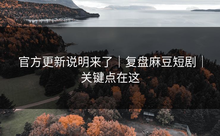 官方更新说明来了｜复盘麻豆短剧｜关键点在这