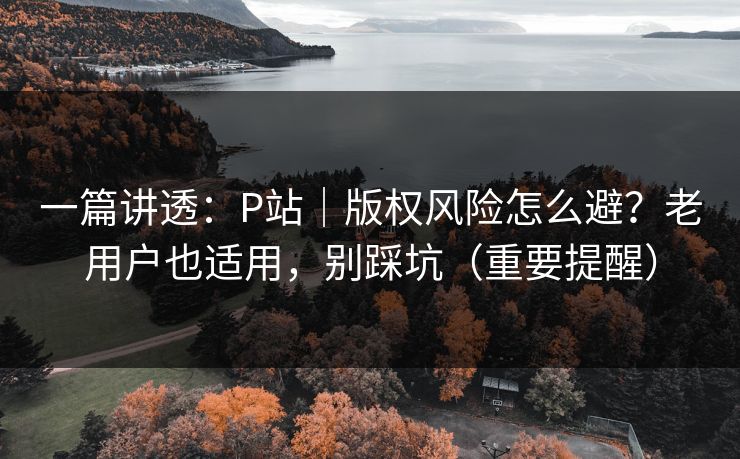 一篇讲透：P站｜版权风险怎么避？老用户也适用，别踩坑（重要提醒）