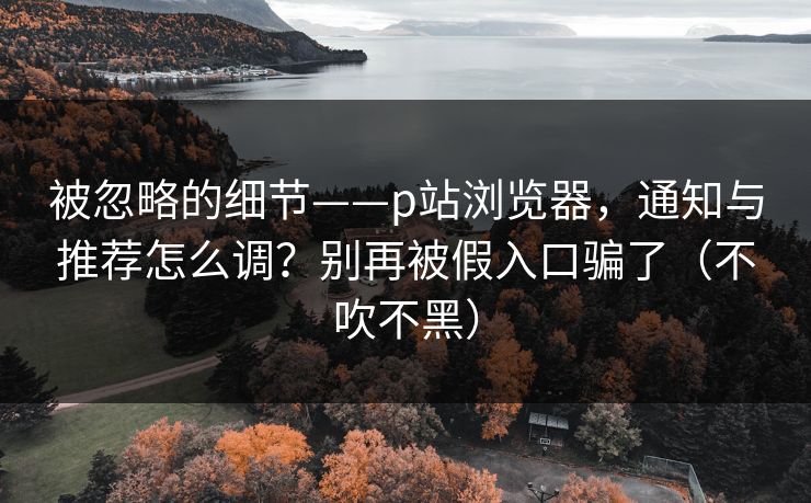 被忽略的细节——p站浏览器,通知与推荐怎么调?别再被假入口骗了(不吹不黑) 被忽略的细节——p站浏览器,通知与推荐怎么调?别再被假入口骗了(不吹不黑)