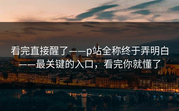 看完直接醒了——p站全称终于弄明白——最关键的入口，看完你就懂了
